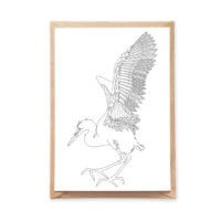 Large Flying Bird Coloring Postcard Stork Ornitology Postcard for Adult Coloring