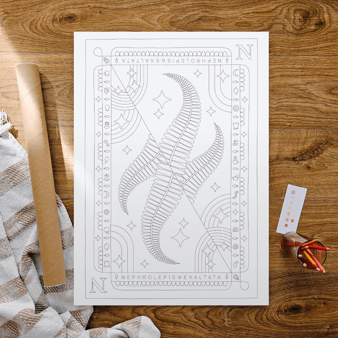 Nephrolepis Exaltata Fern Houseplant Coloring Poster