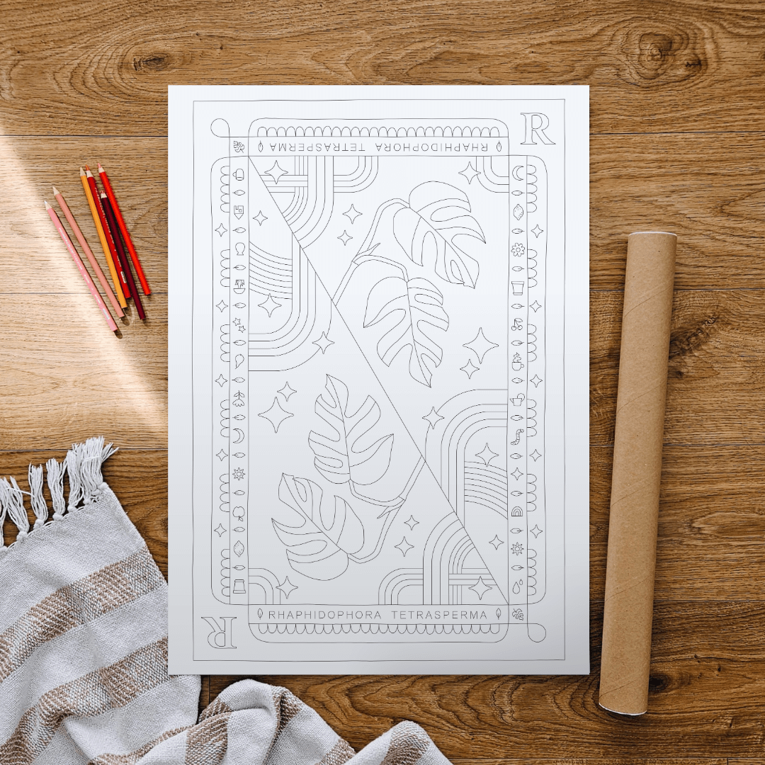 Raphidora Tetrasperma Monstera Minima Coloring Poster