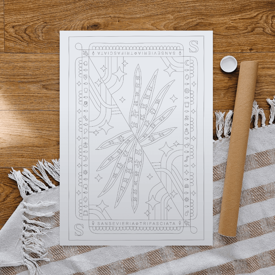 Sansevieria Snakeplant Houseplant Coloring Poster