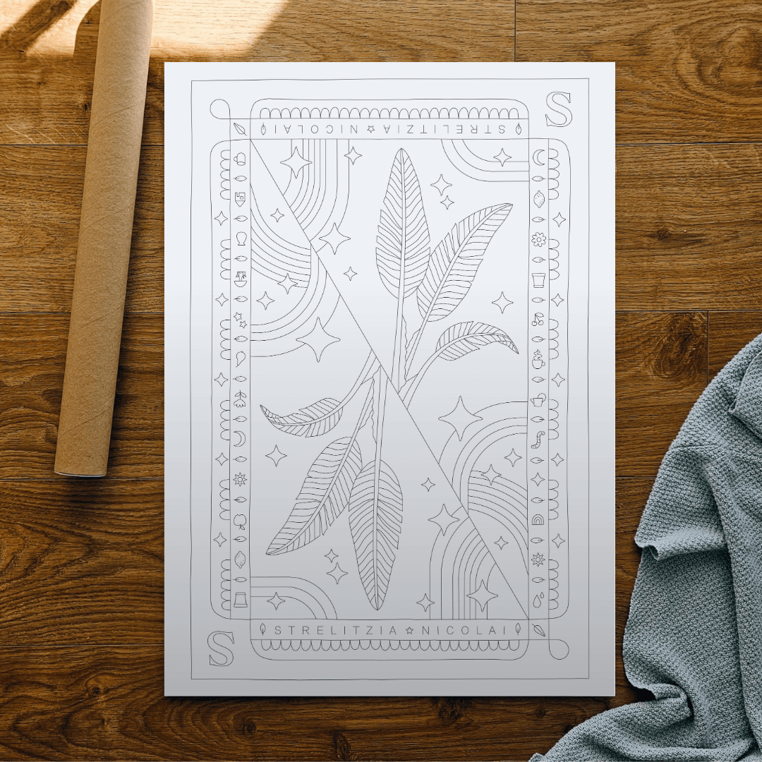 Strelitzia Nicolai Coloring Poster Handdrawn Illustration