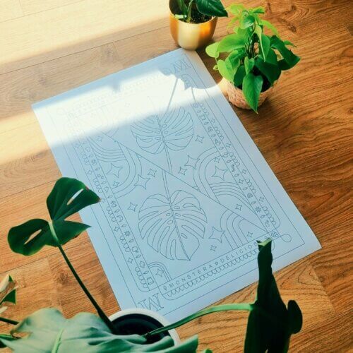Monstera Deliciosa Coloring Poster Haouseplants Collection