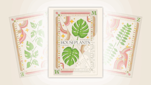 Intricate coloring book with houseplants illustrations inspired by playing card designs, hand illustrated by Anna Grunduls