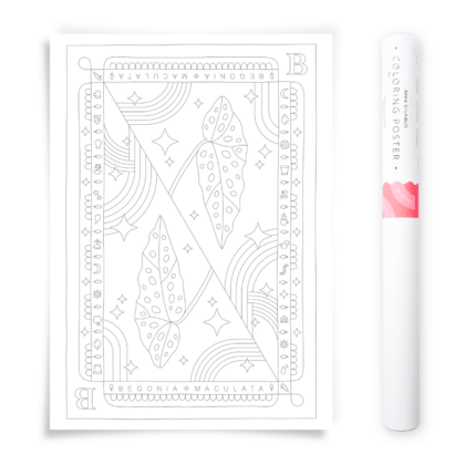 Begonia Polka Dot Houseplant Coloring Poster