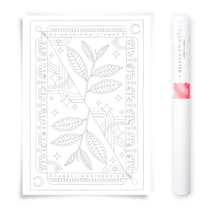 Camelia Sinensis Tea Plant Coloring Poster