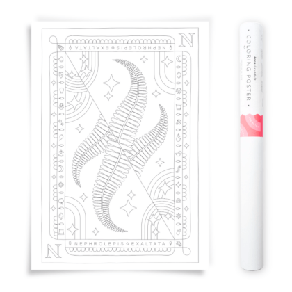 Nephrolepis Exaltata Fern Houseplant Coloring Poster