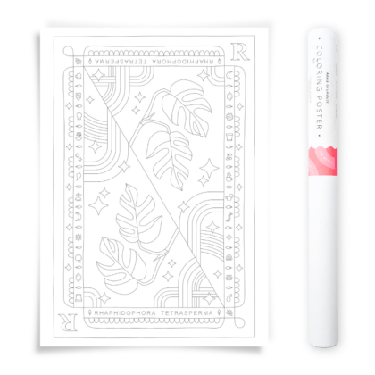 Raphidora Tetrasperma Monstera Minima Coloring Poster
