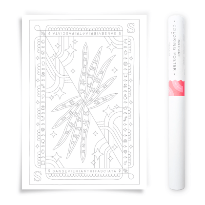 Sansevieria Snakeplant Houseplant Coloring Poster