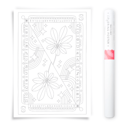 Schefflera Umbrella Plant Coloring Poster