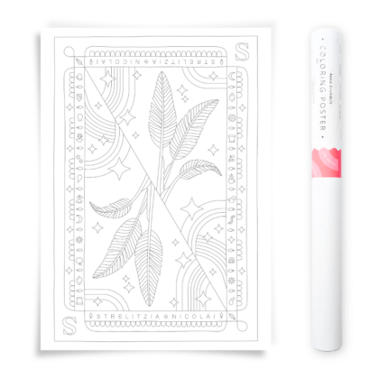 Strelitzia Nicolai Coloring Poster Handdrawn Illustration